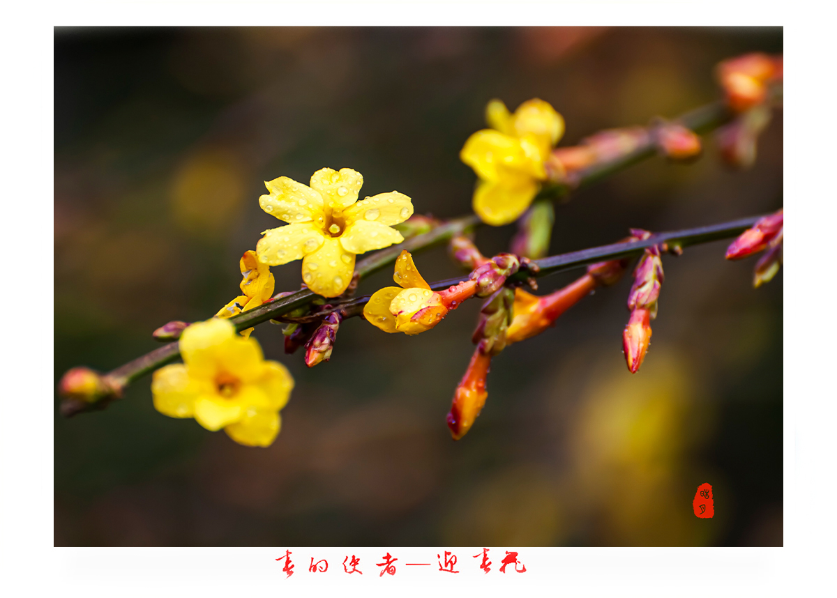 161A9818.jpg