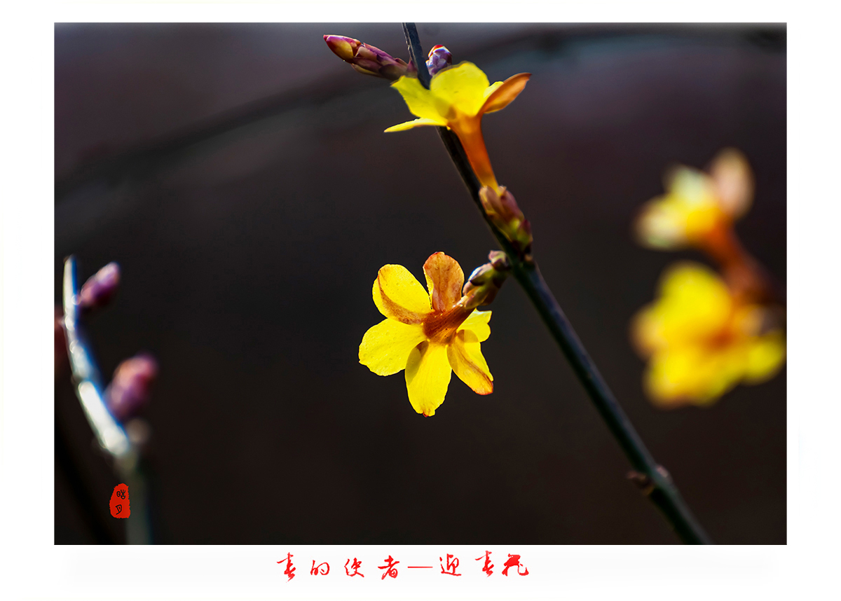 161A9818c.jpg