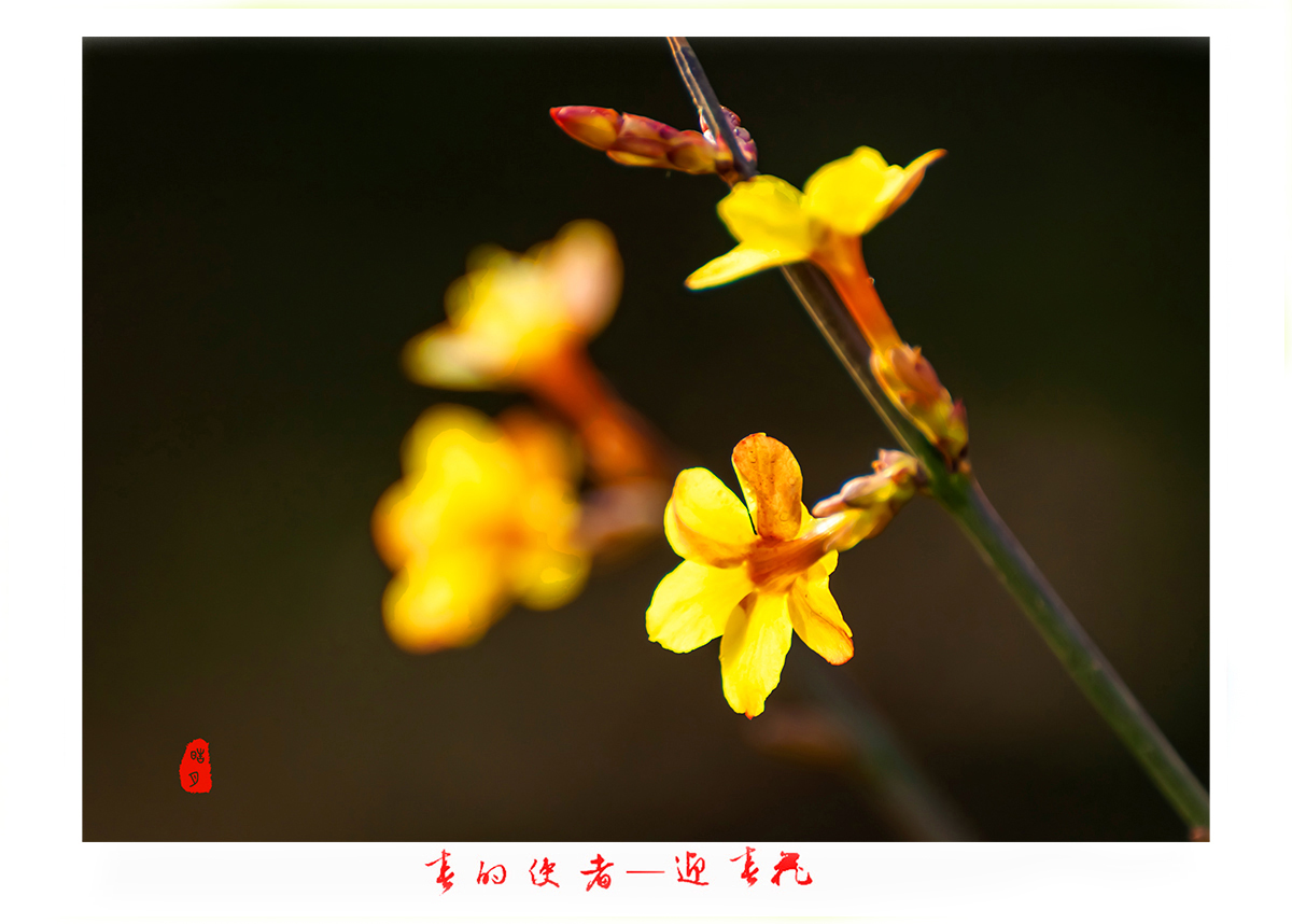 161A9818d.jpg