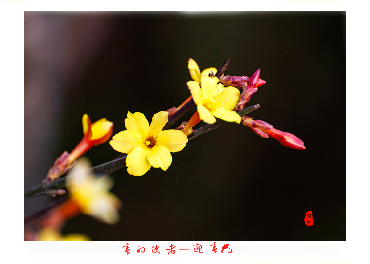 161A9818e.jpg