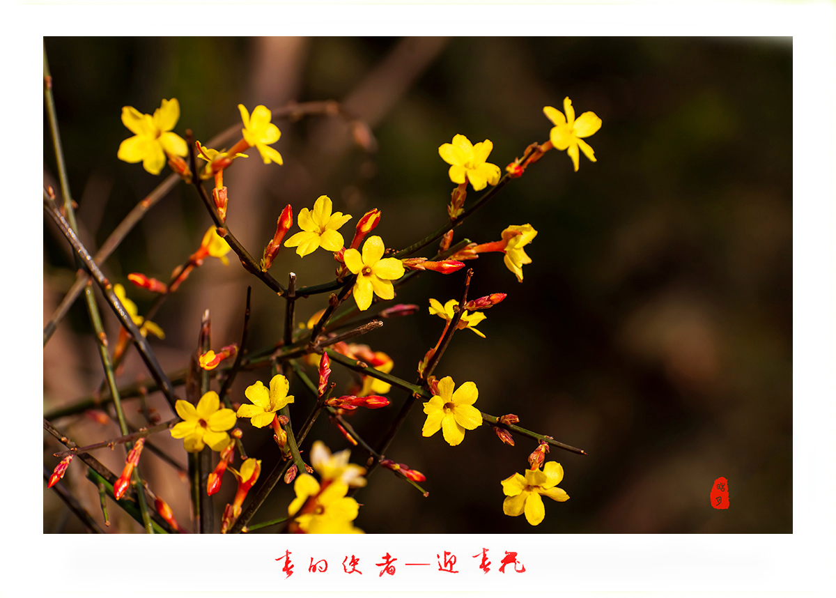 161A9818f.jpg