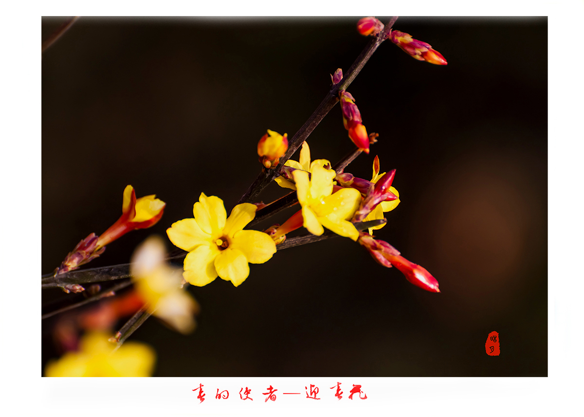 161A9818l.jpg