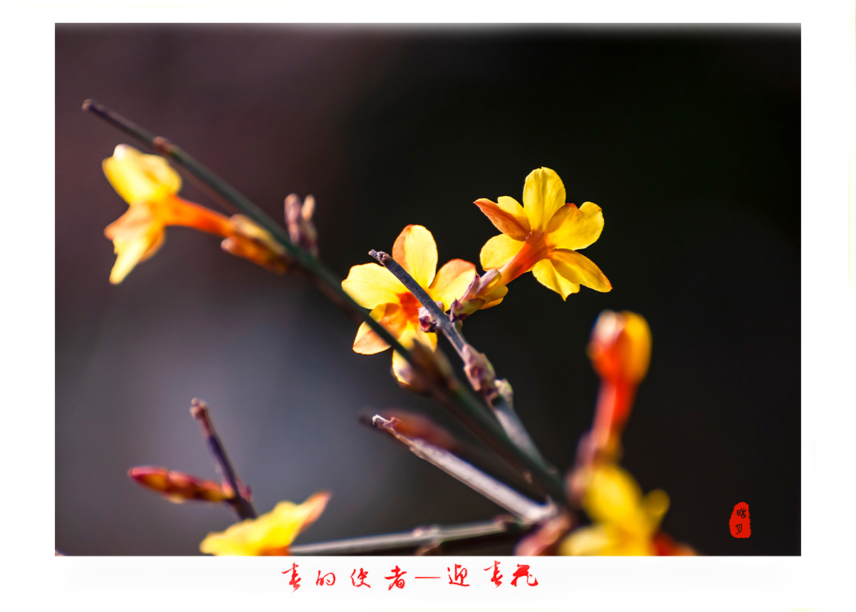 161A9818h.jpg