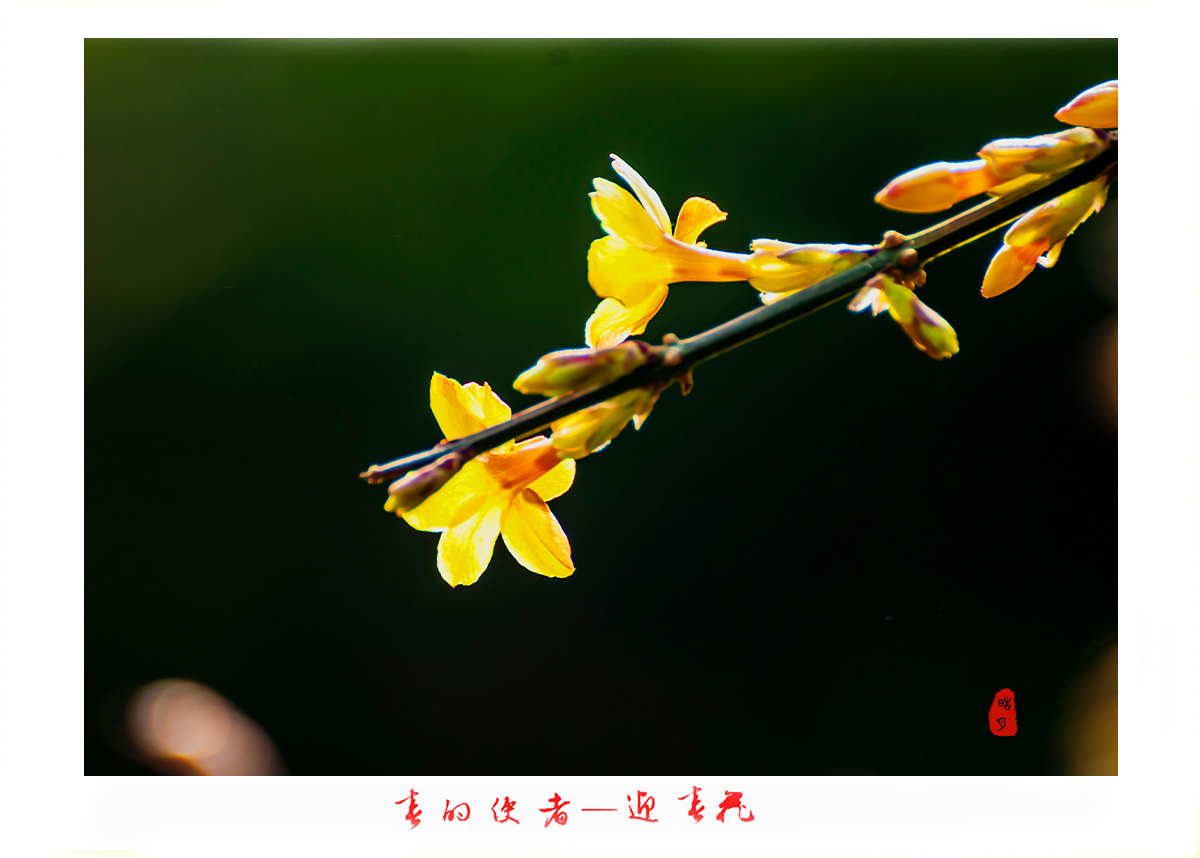 161A9818g.jpg