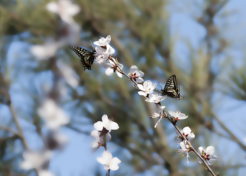 DSC_1152.jpg