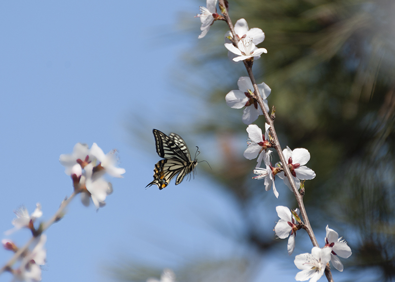 DSC_1160.jpg
