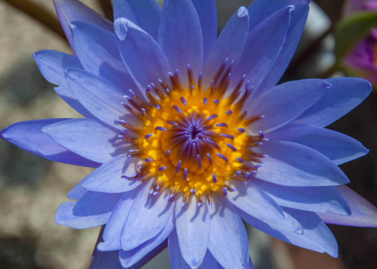 DSC_0117.jpg