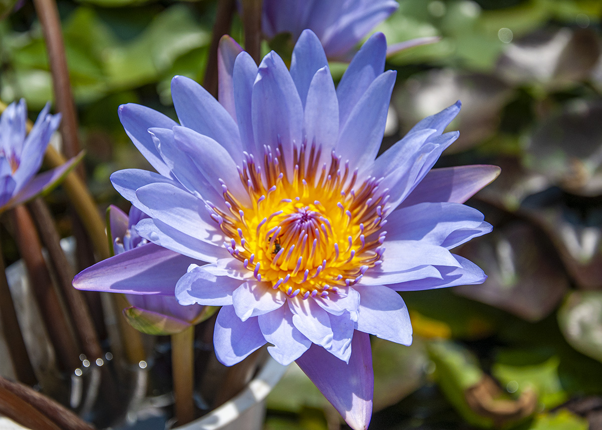 DSC_0114.jpg