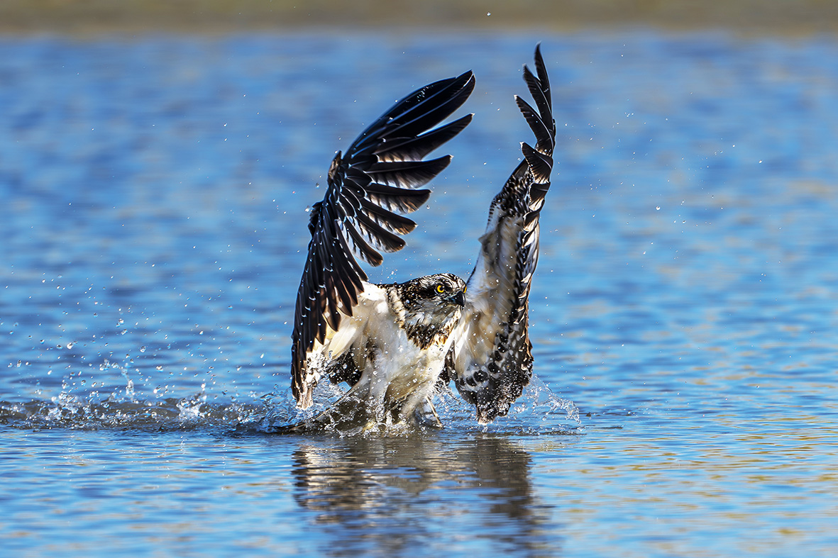 DSC0001859-����ǿ-NR ����.jpg