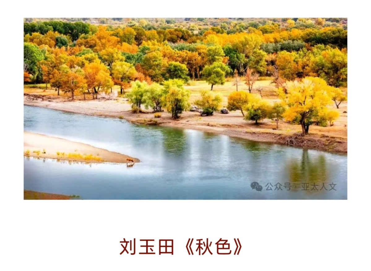 Screenshot_20250331_080753_com_tencent_mm_TmplWebViewMMUI_edit_469132957623538.jpg