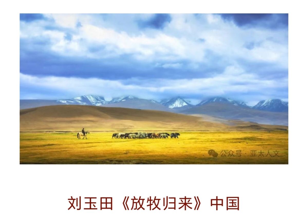 Screenshot_20250331_080901_com_tencent_mm_TmplWebViewMMUI_edit_469173770802950.jpg