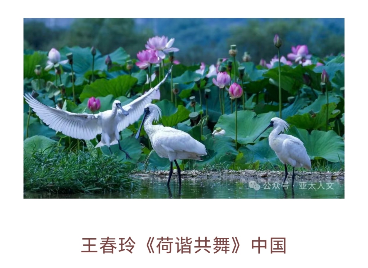 Screenshot_20250331_081052_com_tencent_mm_TmplWebViewMMUI_edit_469246437555057.jpg