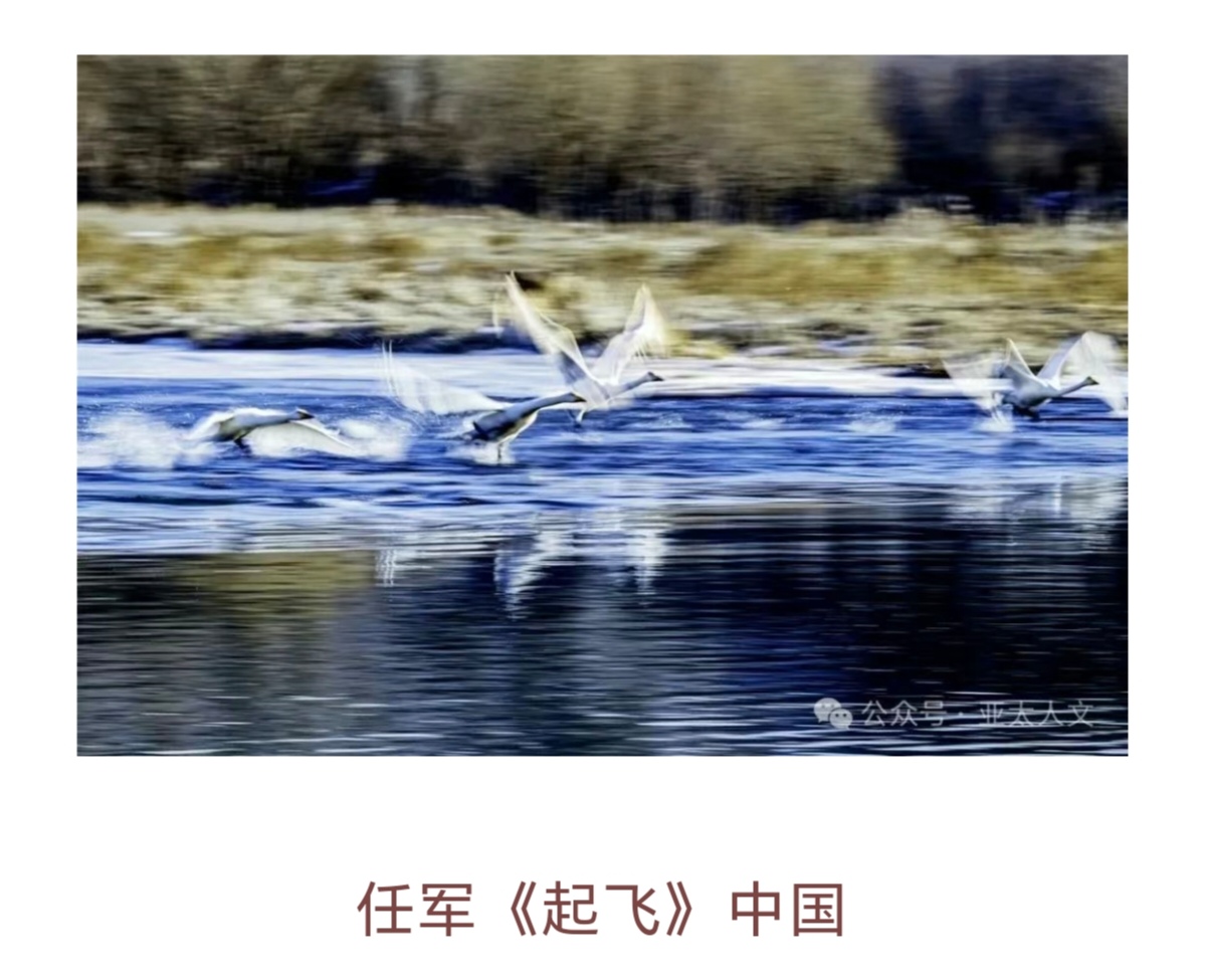 Screenshot_20250331_081112_com_tencent_mm_TmplWebViewMMUI_edit_469261269929583.jpg