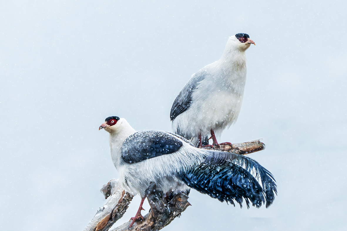 DSC00181-����ǿ-NR ����_����.jpg