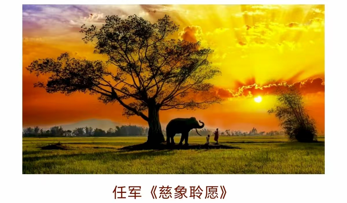 ΢ͼƬ_20250713095832.jpg