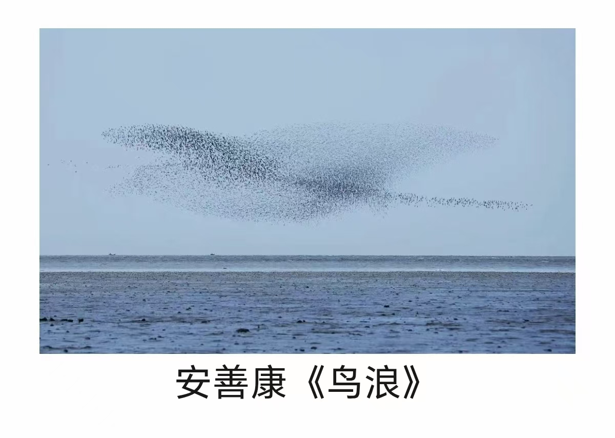 ΢ͼƬ_20250810171636.jpg