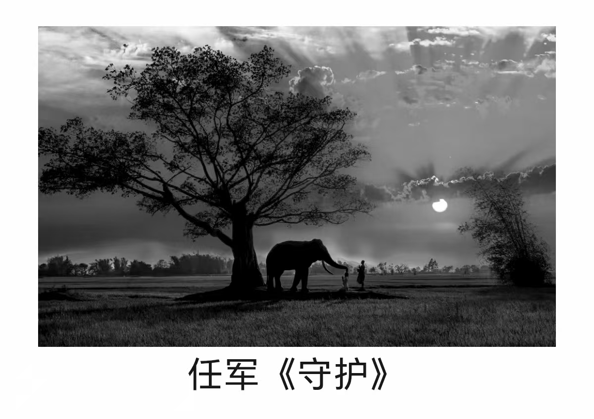 ΢ͼƬ_20250810171607.jpg