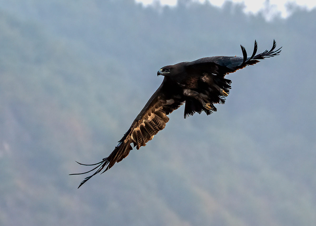 _DSC1855 ����.jpg