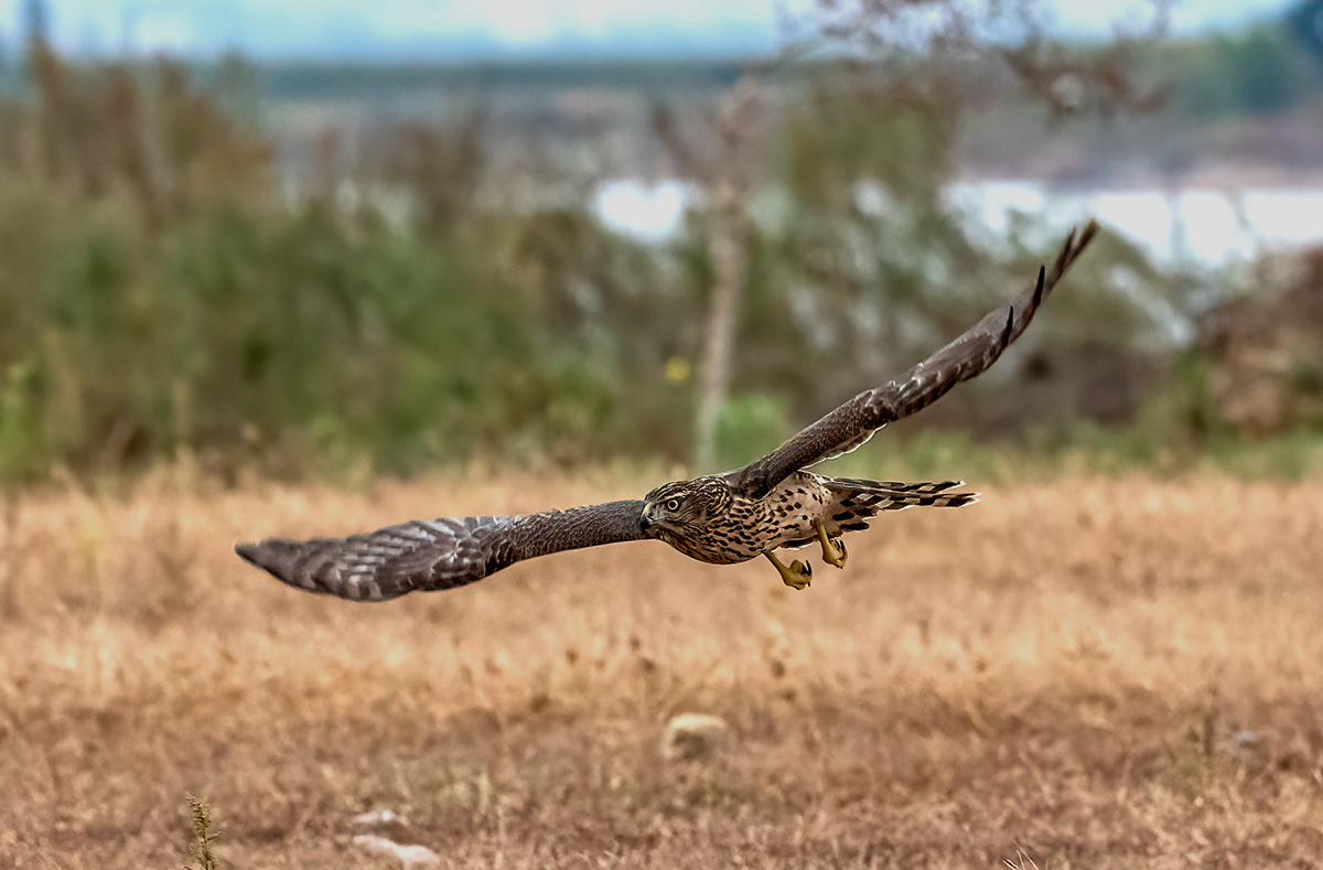 _DSC1134 ����.jpg