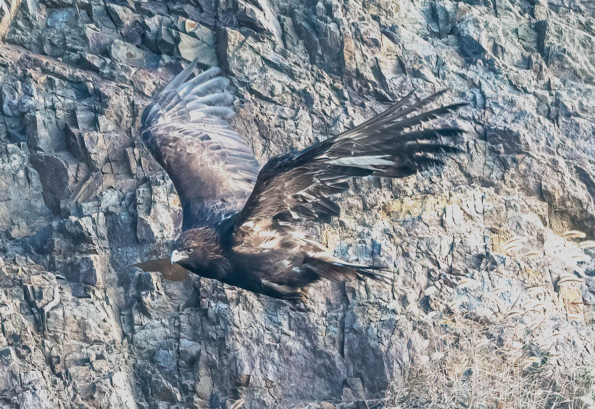 _DSC2206 ����.jpg