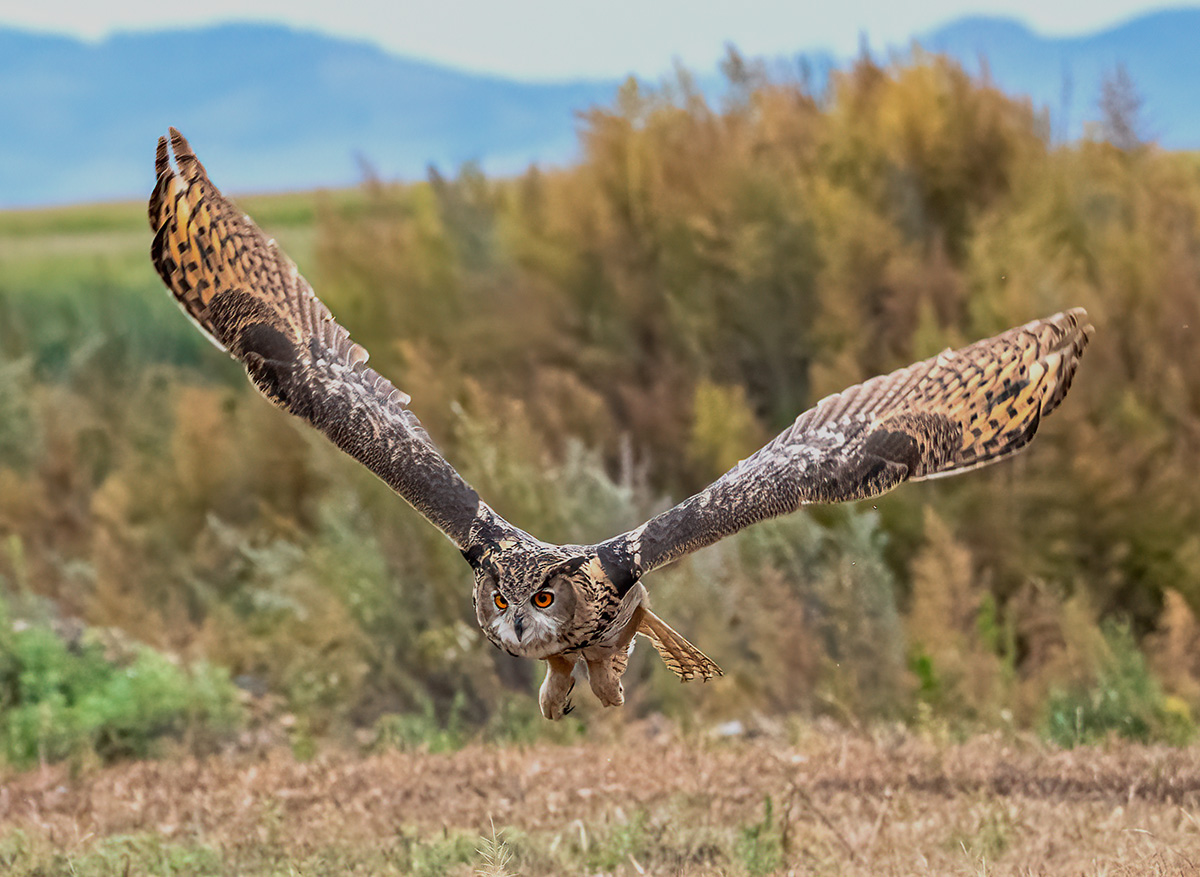 _DSC0693 ����.jpg