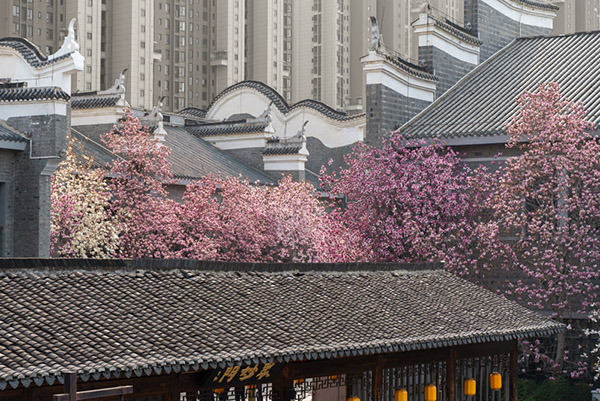 DSC08611 ���� 2.jpg