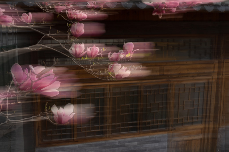 DSC08627-25 ���� 2.jpg