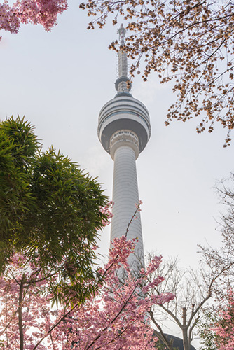 DSC08490 ���� 2.jpg