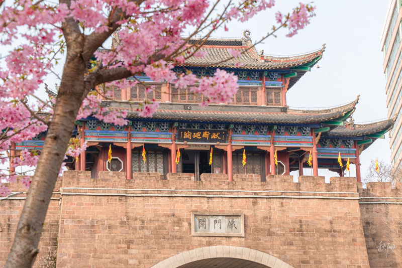 DSC08515 ����.jpg