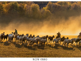 AIP���޹�����Ӱ����2025��ȴ���������