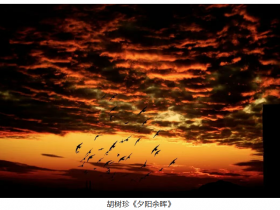 AIP���޹�����Ӱ����2025��ȴ��������