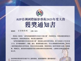 ��������Ӱ������AIP���޹�����Ӱ����2025��ȴ���������֯��